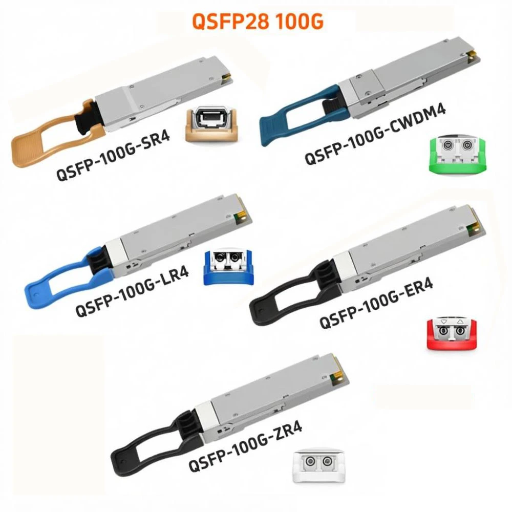product-1000-1000 product-1000-1000